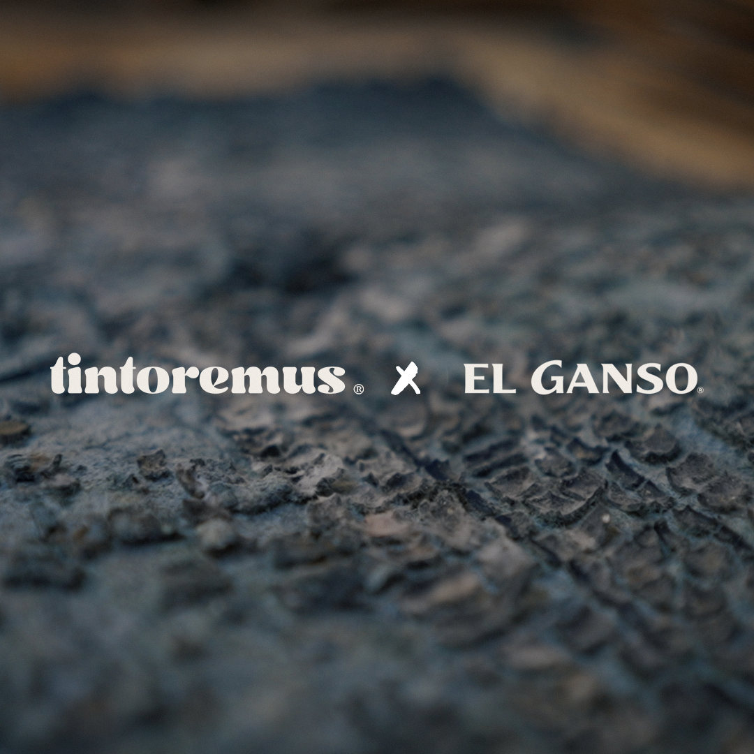 TINTOREMUS X EL GANSO