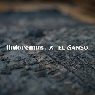TINOREMUS X EL GANSO