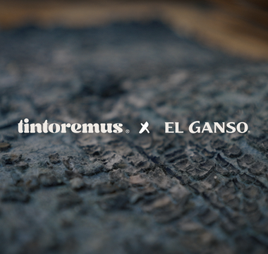 TINOREMUS X EL GANSO
